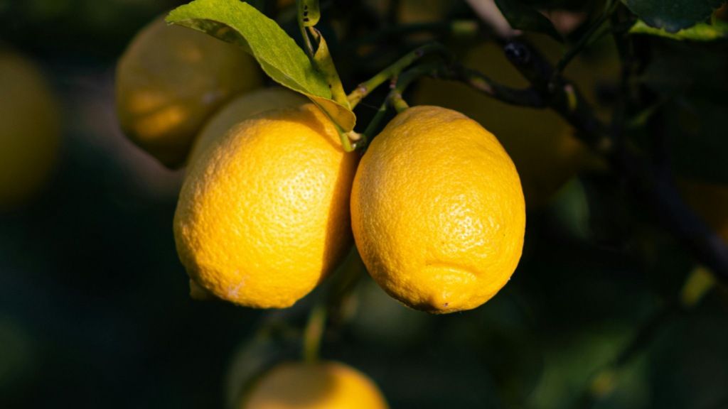 Manufacturer Responsibilities Under Lemon Law in Beverly Hills